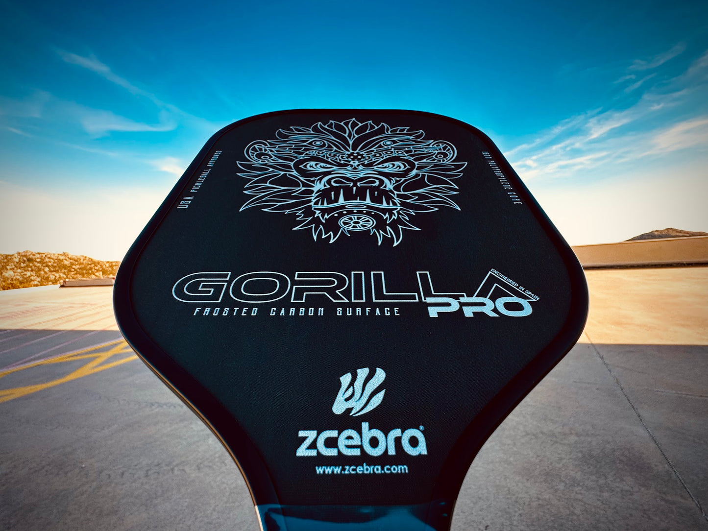 Zcebra Gorilla Pro Black Pickleball Racket Svart Blå himmel asfalt solsken