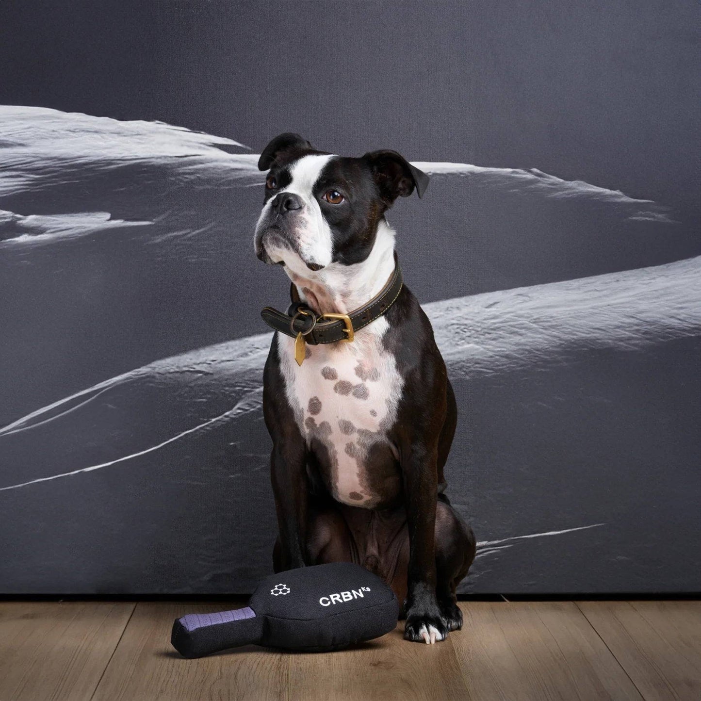 Sittandes hund med CRBN hundleksak
